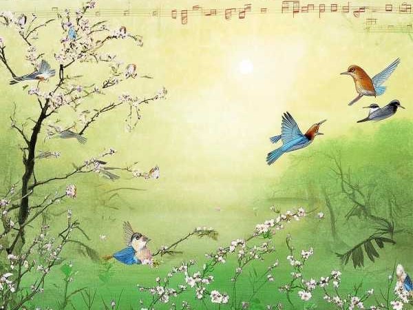 春晓简谱魅力，感受春日诗意的音符跳动